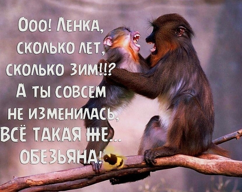 https://uld11.mycdn.me/image?t=3&bid=812995417018&id=812995417018&plc=WEB&tkn=*aNgCnCUMzVGlIANr4aGze2MdAp0